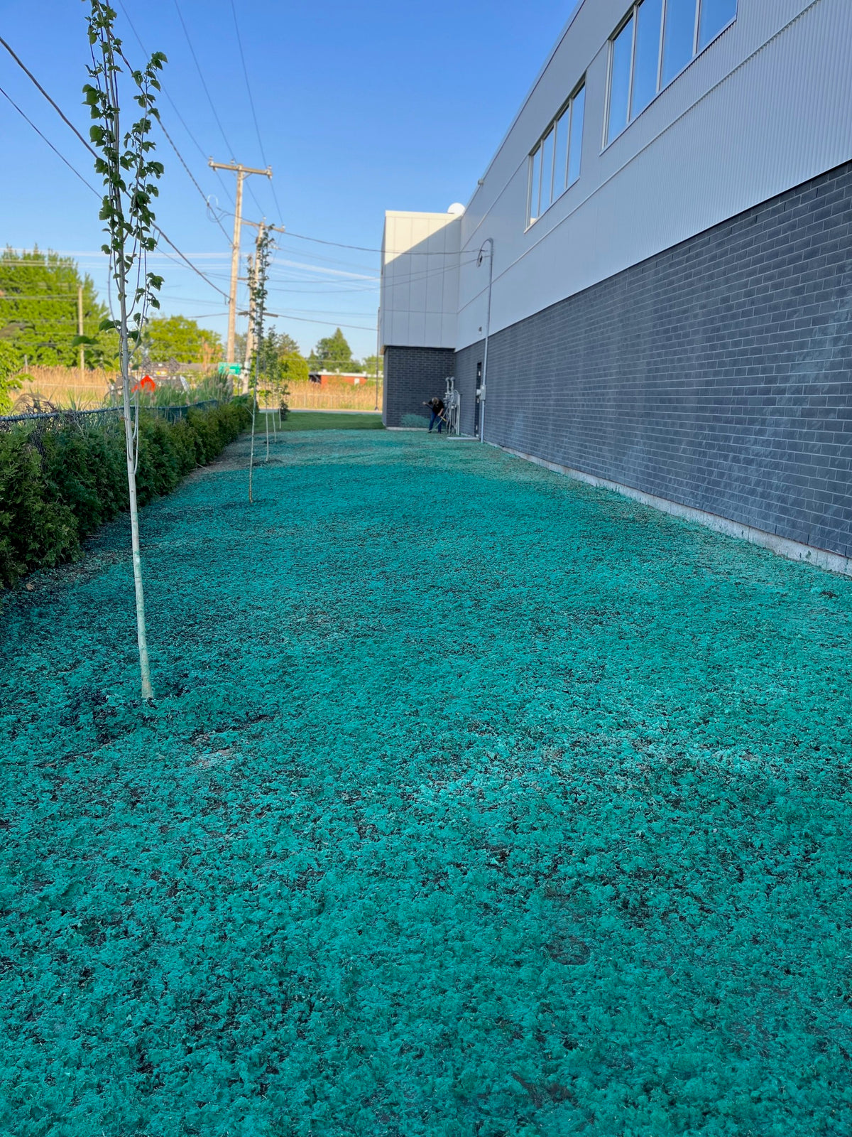 Image de réalisation