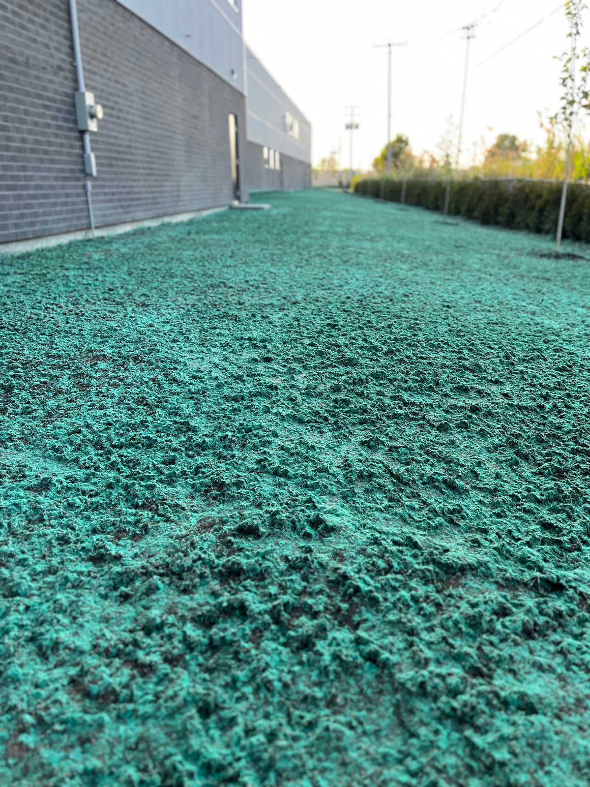 Image de réalisation