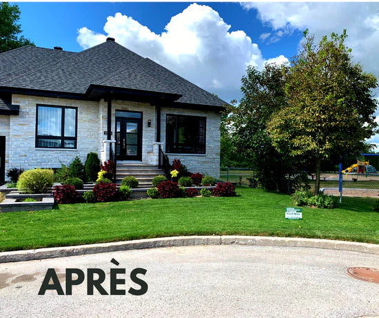 Pelouse dense et en santé