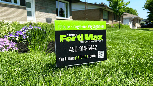 Restauration de pelouse