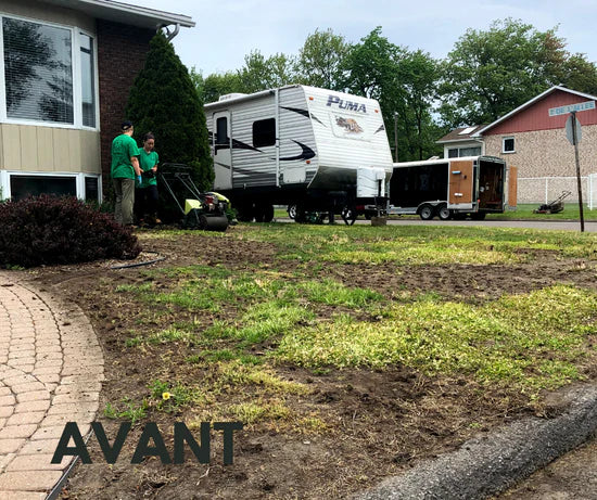 Pelouse pauvre et sèche