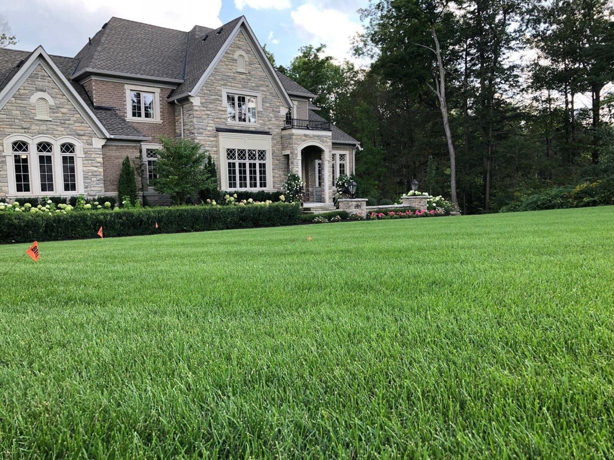 Image de réalisation