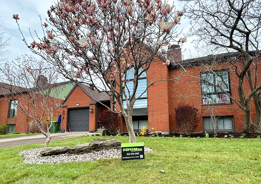 Image de réalisation